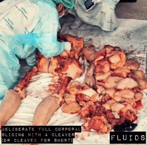 Fluids : Deliberate Full Corporal Slicing with a Cleaver